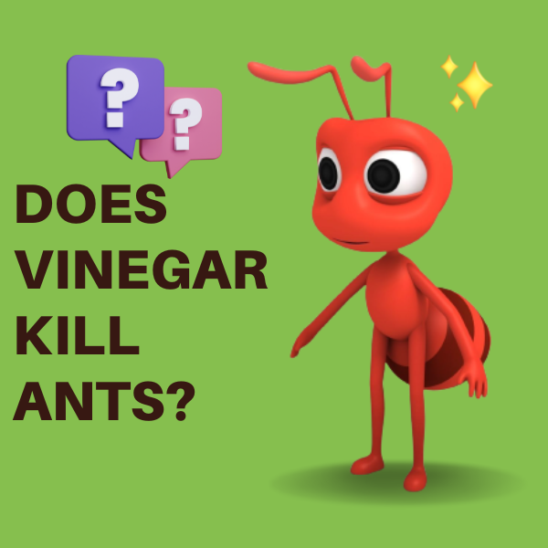 Does Vinegar Kill Ants?